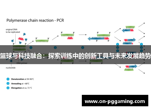 篮球与科技融合:探索训练中的创新工具与未来发展趋势 篮球与科技融合:探索训练中的创新工具与未来发展趋势